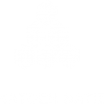 logo_KatoenNatie_vector_wit